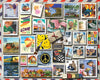 America Smiles - 1000 Pieces
