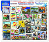 America Smiles - 1000 Pieces