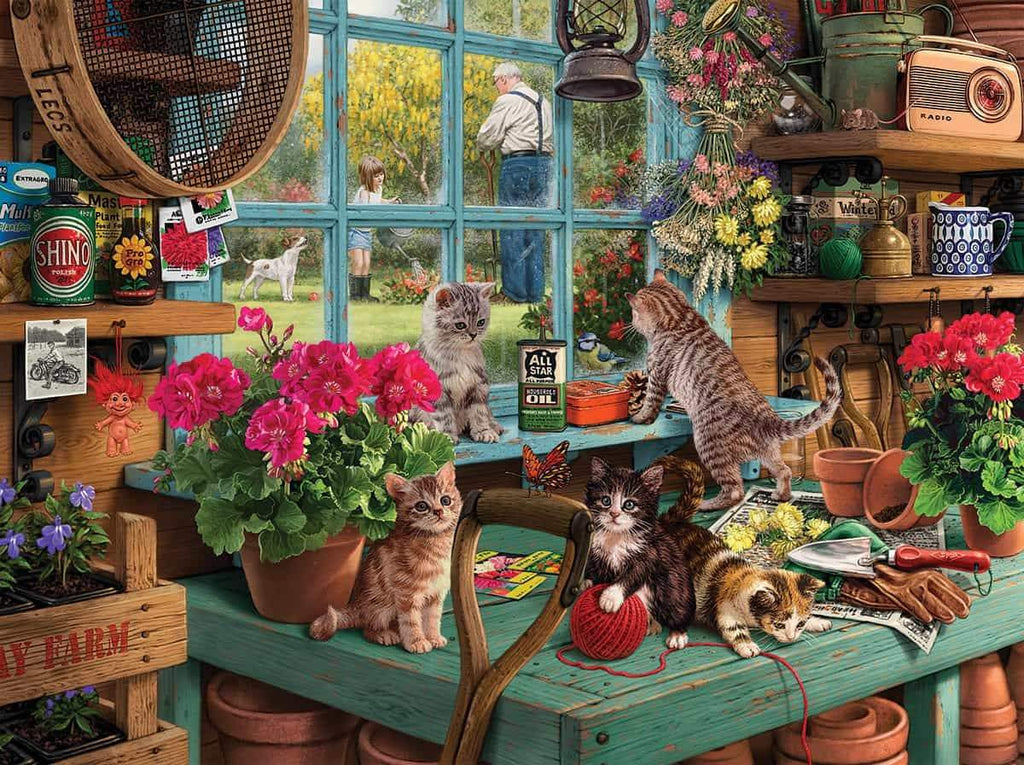 Curious Kittens - 1000 Pieces