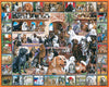 World of Dogs - 1000 Pieces