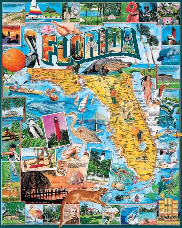 Florida - 1000 Pieces