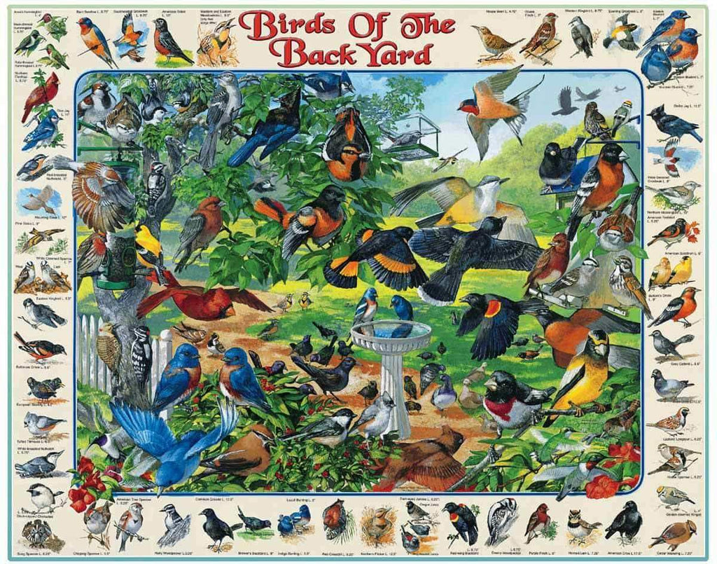 Birds of the Back Yard - 1000 Pieces