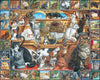 World of Cats - 1000 Pieces