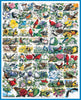 State Birds & Flowers - 1000 Pieces
