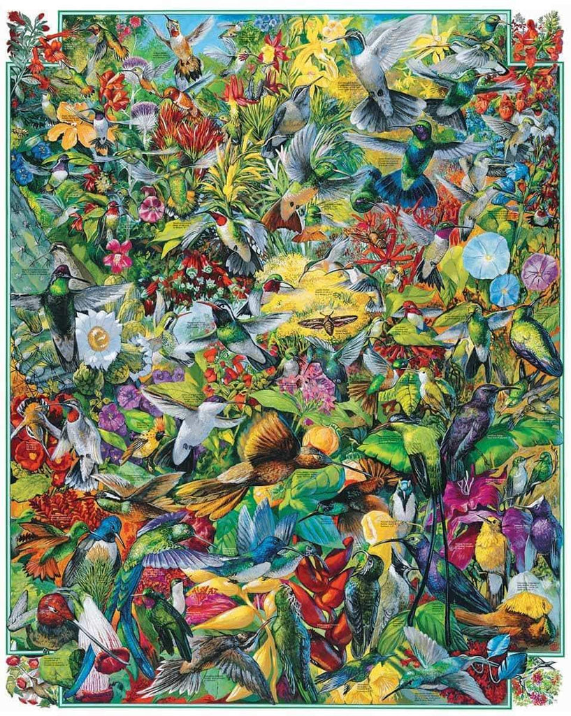 Hummingbirds - 1000 Pieces