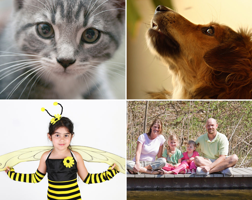 Custom Puzzle 19.25" x 26.625" - 1000 Piece Puzzle